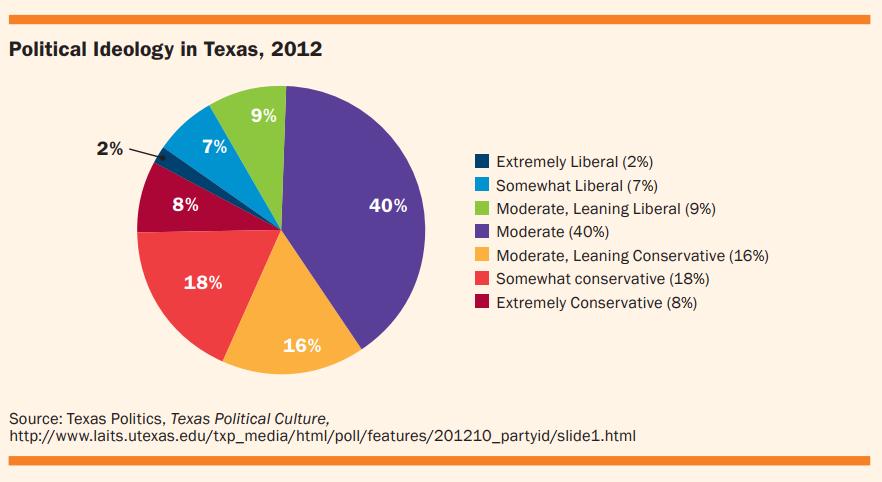Political Participation in Texas Political