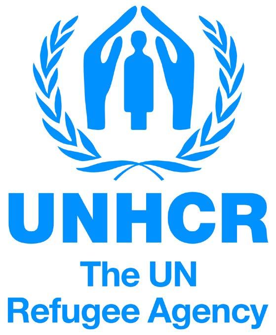UNHCR Provisional Comments and Recommendations On