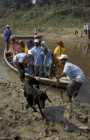 Flood-related diseases were common, especially as floodwaters submerged and clogged hand pumps leaving villagers with no safe water, and forcing them to drink from the polluted river.