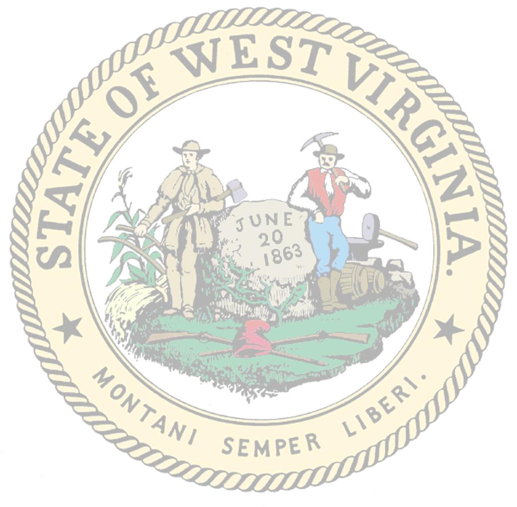 2014 BEST PRACTICES GUIDE FOR MUNICIPAL ELECTIONS WEST VIRGINIA