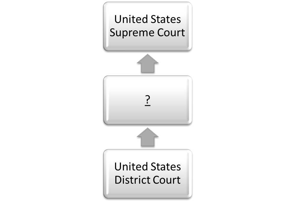 3.11: Levels of courts 1.