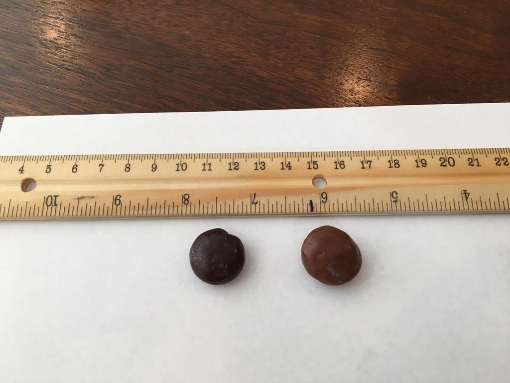 Case 1:17-cv-07541 Document 1 Filed 10/03/17 Page 7 of 36 12. Below is a comparison of the Tootsie s Junior Mints Product with a similar candy Hershey s Milk Duds.