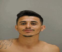 Roldan, Tito O Offender Age: 27 Offender Address: W Dickens Ave Chicago, IL Date of Charge: