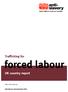 Trafficking for forced labour. UK country report. Klára Skrivánková