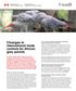 Changes to international trade controls for African grey parrots
