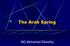 The Arab Spring. MG Mohamed Elkeshky