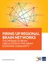 Firing Up Regional Brain Networks The Promise of Brain