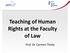 Teaching of Human Rights at the Faculty of Law. Prof. Dr. Carmen Thiele