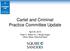Cartel and Criminal Practice Committee Update. April 25, 2014 Peter C. Alfano III, J. Brady Dugan Oliver Geiss, Diarmuid Ryan