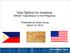 Visa Options for Investors AREAA Trade Mission to the Philippines. Presented by Jared Leung March 18, 2013
