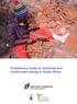 Preliminary study on artisanal and small-scale mining in South Africa