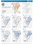 Nigeria: North-East Ongoing Humanitarian Activities Overview