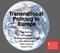 Transnational Policing in Europe