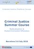Criminal Justice Summer Course