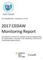 2017 CEDAW Monitoring Report