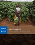 RIGHTS. A BITTER HARVEST Child Labor and Human Rights Abuses on Tobacco Farms in Zimbabwe