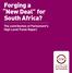 Forging a New Deal for South Africa? The contribution of Parliament s High Level Panel Report