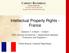 Intellectual Property Rights - France