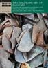TRAFFIC. THE GLOBAL TRAFFICKING OF PANGOLINS: A comprehensive summary of seizures and trafficking routes from