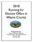 2018 Running for Elective Office in Wayne County