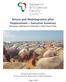 Return and (Re)Integration after Displacement Executive Summary Belonging, Labelling and Livelihoods in Three Somali Cities