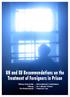 UN and EU Recommendations on the Treatment of Foreigners in Prison. Tilburg University Tilburg The Netherlands