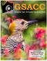 2018 GSACC Member Handbook San Antonio, Texas  COVER PHOTO: Yellow-fronted Woodpecker in Flowers by William Hunsicker