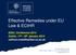 Effective Remedies under EU Law & ECtHR. EDAL Conference 2014 Dublin, 17 th, 18 th January 2014