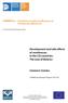 Development and side effects of remittances in the CIS countries: The case of Belarus