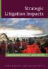 Strategic Litigation Impacts