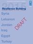 United Nations Development Programme. Resilience Building IN RESPONSE TO THE SYRIA CRISIS DRAFT