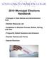 2019 Municipal Elections Handbook