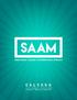 SAAM. Ending Sexual Violence: An Intersectional Approach