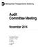 Audit Committee Meeting