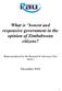 What is honest and responsive government in the opinion of Zimbabwean citizens? Report produced by the Research & Advocacy Unit (RAU)