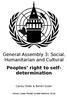 General Assembly 3: Social, Humanitarian and Cultural Peoples right to selfdetermination