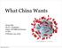 What China Wants. Weiyi Shi Ph.D. Candidate Dept. of Political Science UCSD February 24, David Shambaugh: China Goes Global