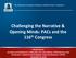 Challenging the Narrative & Opening Minds: PACs and the 116 th Congress