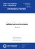 WORKING PAPER. Hungarian and Chinese economic relations and opportunities under the Belt and Road initiative. Agnes Szunomar