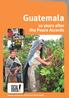 Guatemala. 10 years after the Peace Accords. Reports on Economic, Social and Cultural Rights
