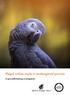Illegal online trade in endangered parrots: A groundbreaking investigation