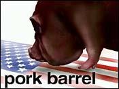 Congressional Problems Pork- legislation that benefits only a congressperson s district/state