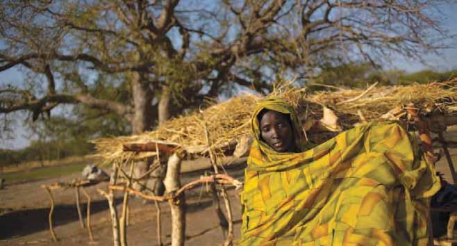 Pastoralists in East Africa are particularly vulnerable to climate change. In 2010 ECP published a monograph titled Climate Change and Natural Resources Conflicts in Africa that addressed this issue.
