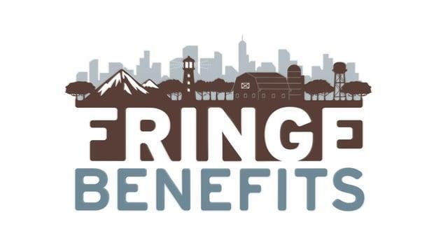 Fringe Benefits/Privileges Special tax deductions Travel allowances Inexpensive health care and life insurance Generous retirement plan Franking privilege ( free printing and mailing) Free parking at