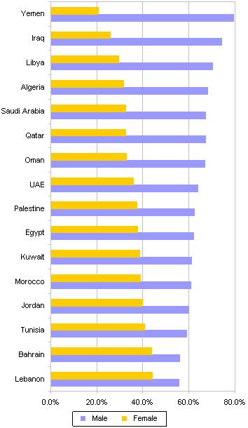 Although Facebook has added some 3.5 million Arabic language users during the past 12 months, Yemen is the only country with a clear majority of Arabic Facebook users.