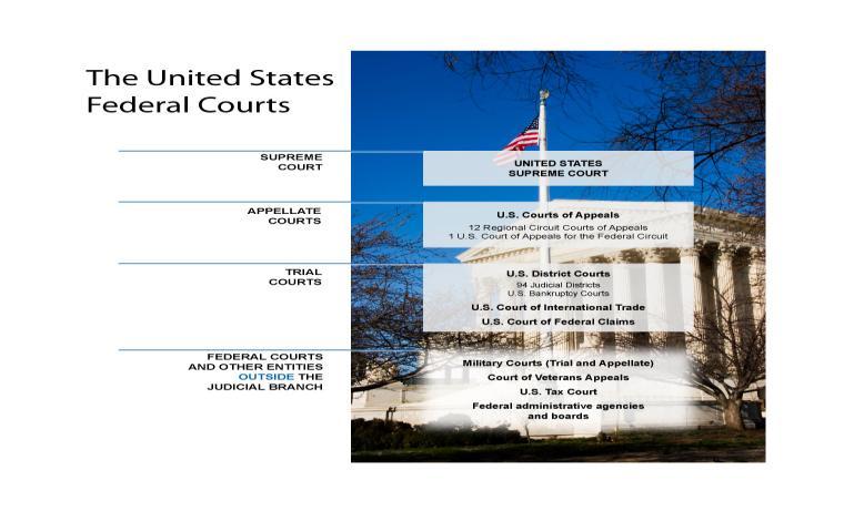 S E C T I O N 4 The Special Courts ESSENTIAL QUESTIONS: How can citizens sue the government in the U.S. Court of Federal Claims?