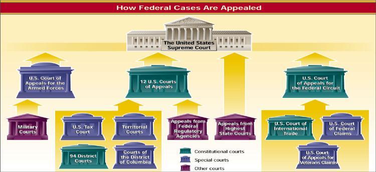 A federal civil case is one which involves noncriminal matters.