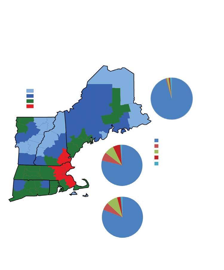 10 Population Change by Race/Hispanic Origin New England is less racially diverse than the nation. Non-Hispanic whites makeup 82.1 percent of New England s population, but only 66.3 percent of the U.