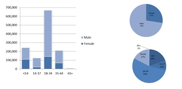 Most asylum seekers in 2015 were men (73%) and this is true across all age groups except for the 65+ where 53% of this small age group are women (Figures A3a and A3b).