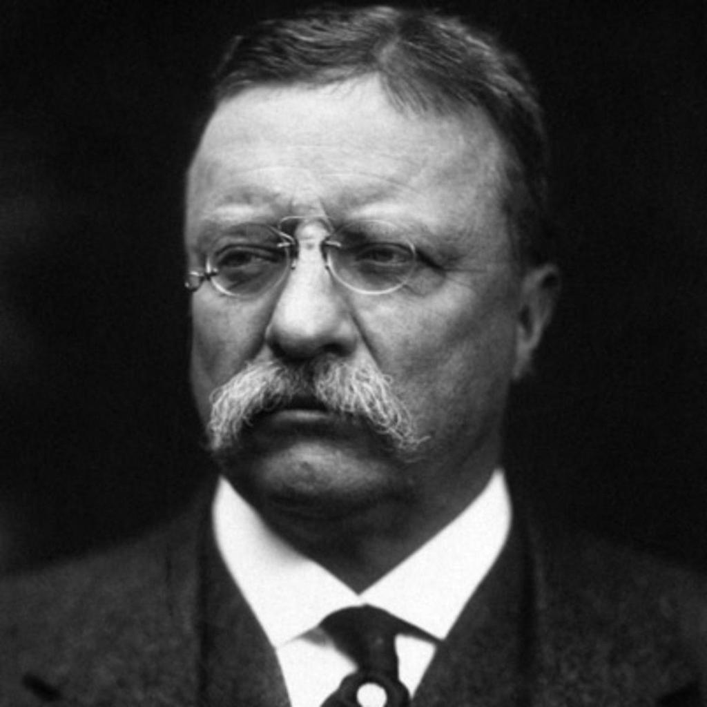 Teddy Roosevelt ChildhoodRise to the